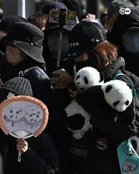 chinapanishment online froud.jpg